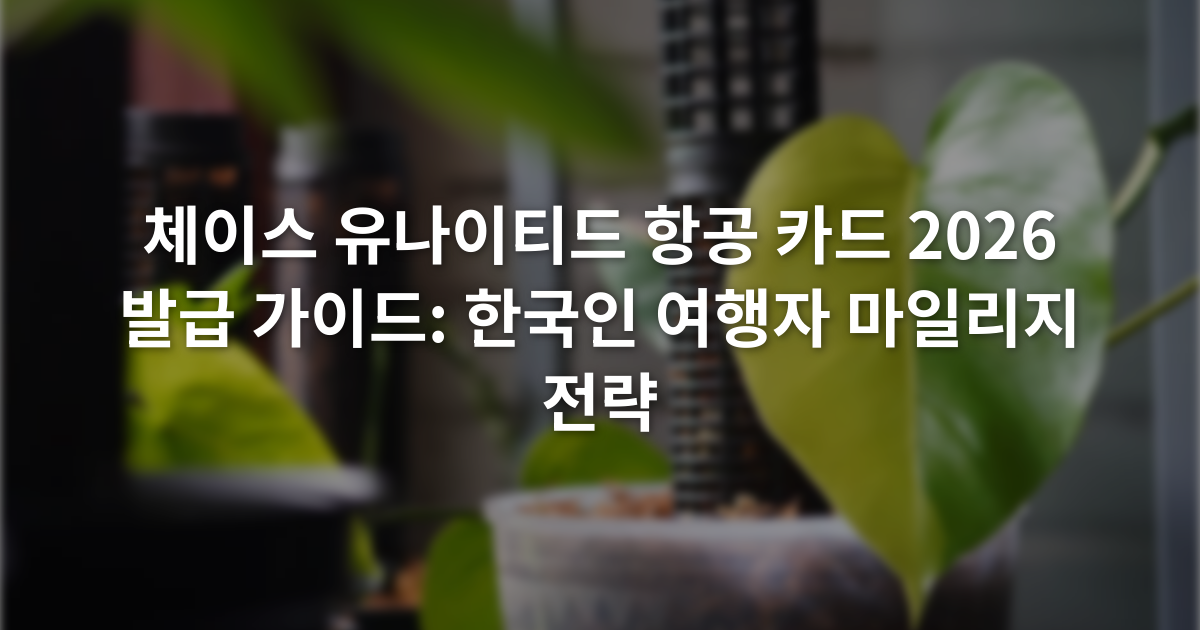 체이스 유나이티드 항공 카드 2026 발급 가이드: 한국인 여행자 마일리지 전략