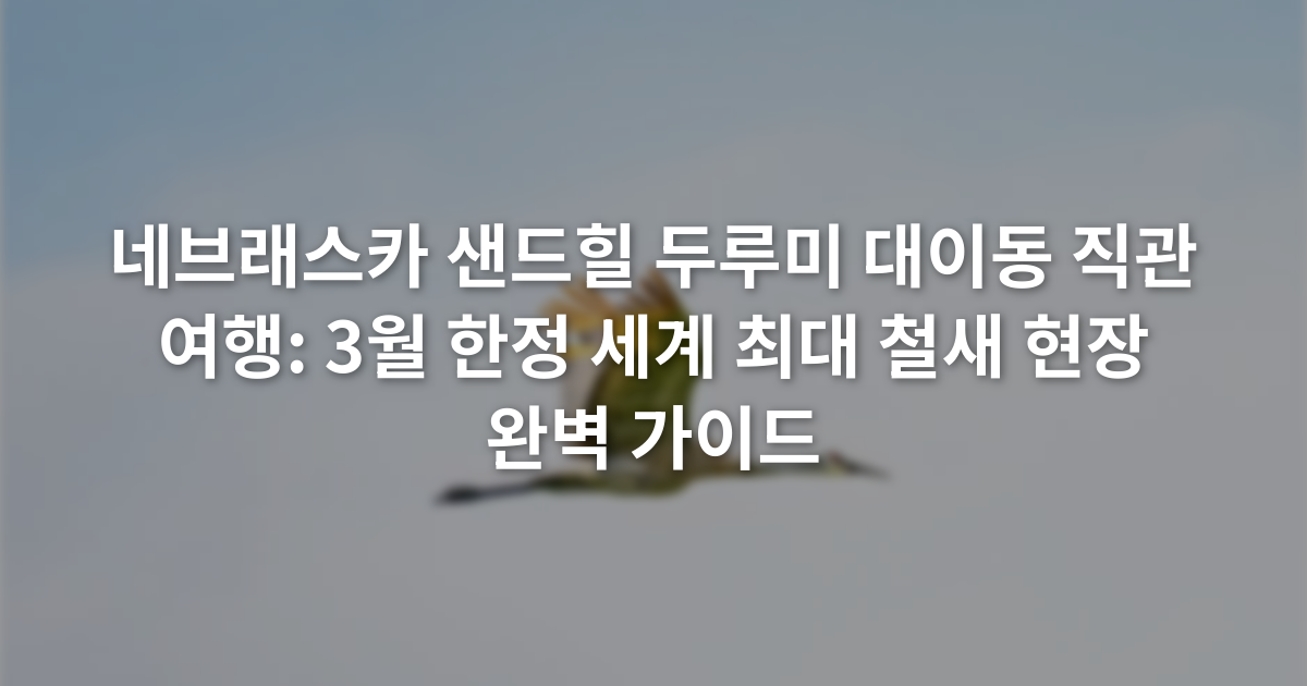 네브래스카 샌드힐 두루미 대이동 직관 여행: 3월 한정 세계 최대 철새 현장 완벽 가이드