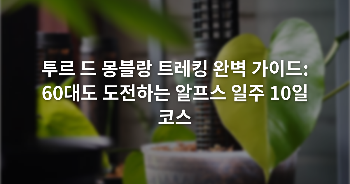 투르 드 몽블랑 트레킹 완벽 가이드: 60대도 도전하는 알프스 일주 10일 코스