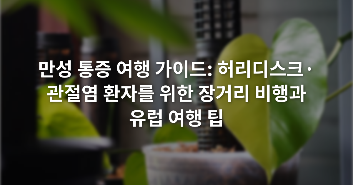 만성 통증 여행 가이드: 허리디스크·관절염 환자를 위한 장거리 비행과 유럽 여행 팁