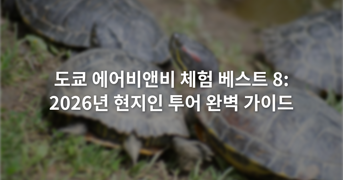 도쿄 에어비앤비 체험 베스트 8: 2026년 현지인 투어 완벽 가이드