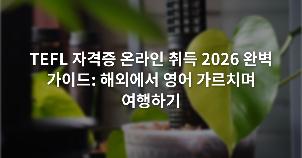 TEFL 자격증 온라인 취득 2026 완벽 가이드: 해외에서 영어 가르치며 여행하기
