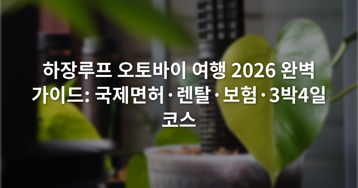하장루프 오토바이 여행 2026 완벽 가이드: 국제면허·렌탈·보험·3박4일 코스